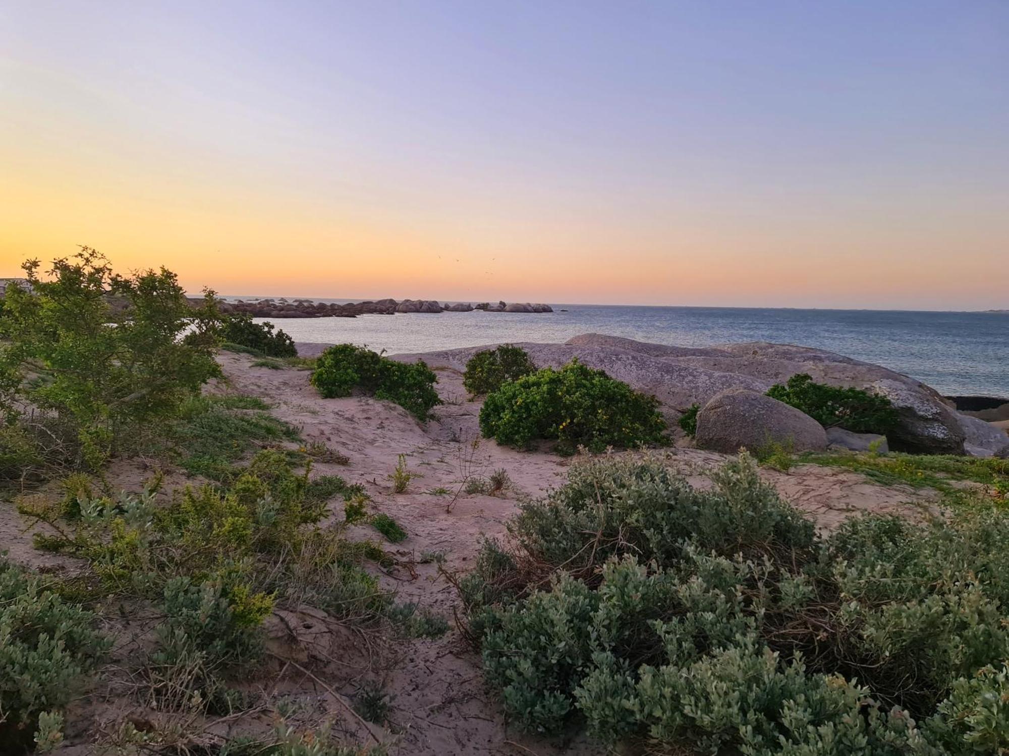 Flamink Beach View Cottage In Патерностер Екстериор снимка